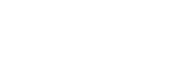Company Logo 2